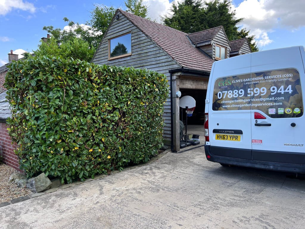 laurel hedge cutting shaping - Clive's Gardening Services