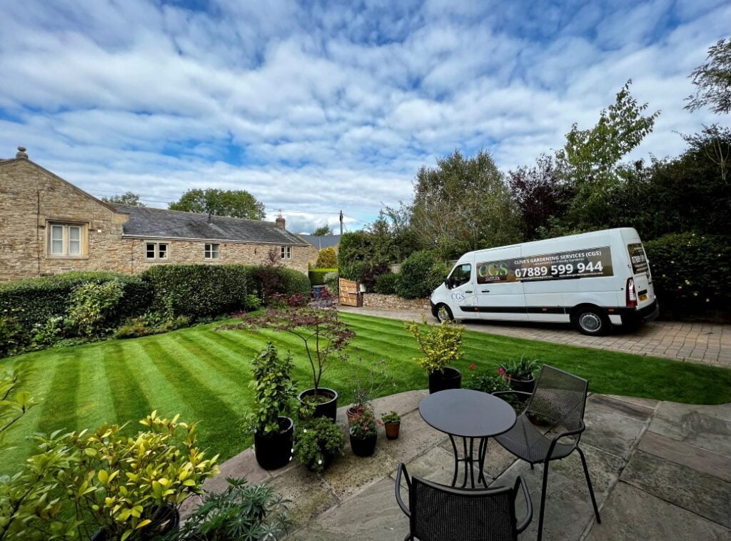 professional hedge cutting shaping - Clive's Gardening Services