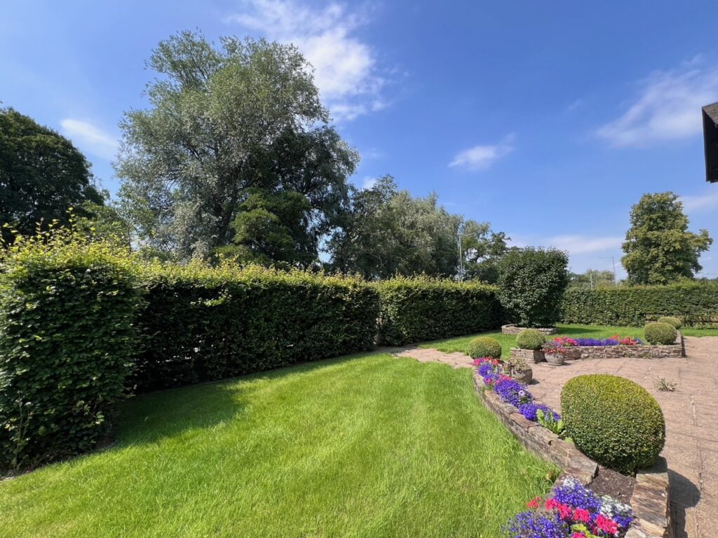 The Best Time of Year to Trim or Prune Your Beech Hedge